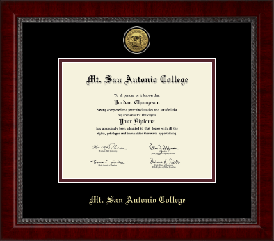 Mt. San Antonio College diploma frame - Gold Engraved Medallion Diploma Frame in Sutton