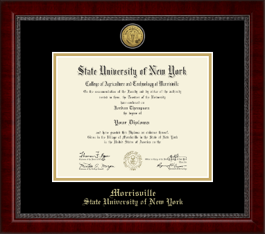 SUNY Morrisville diploma frame - Gold Engraved Medallion Diploma Frame in Sutton