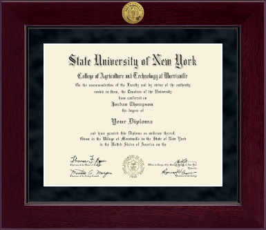 SUNY Morrisville diploma frame - Millennium Gold Engraved Diploma Frame in Cordova