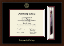 Ashworth College diploma frame - Tassel & Cord Diploma Frame in Delta
