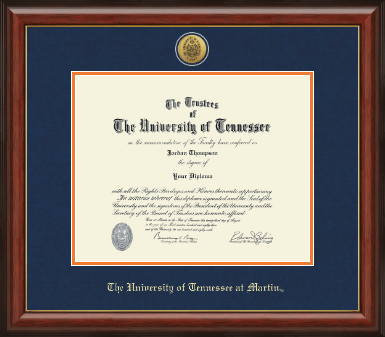 The University of Tennessee Martin diploma frame - Gold Engraved Medallion Diploma Frame in Lancaster