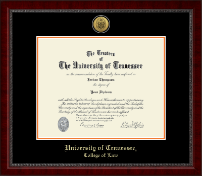 The University of Tennessee Knoxville diploma frame - Gold Engraved Medallion Diploma Frame in Sutton
