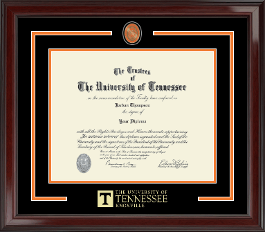 The University of Tennessee Knoxville diploma frame - Showcase Edition Diploma Frame in Encore