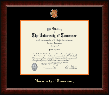 The University of Tennessee Knoxville diploma frame - Masterpiece Medallion Diploma Frame in Murano