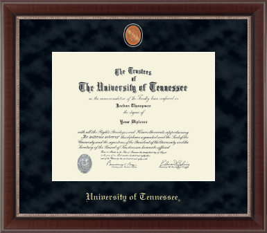 The University of Tennessee Knoxville diploma frame - Regal Edition Diplom Frame in Chateau