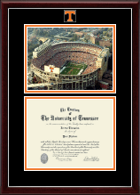 The University of Tennessee Knoxville diploma frame - Campus Scene Spirit Medallion Diploma Frame in Gallery Silver
