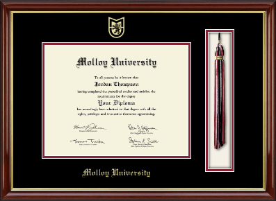 Molloy University diploma frame - Tassel & Cord Diploma Frame in Southport Gold