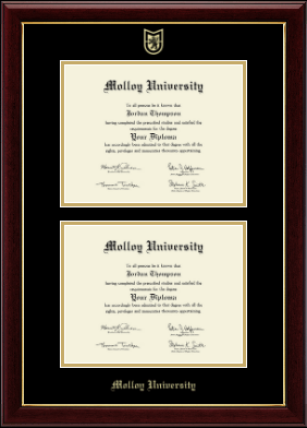Molloy University diploma frame - Double Diploma Frame in Gallery