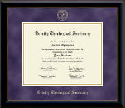 University of South Florida diploma frame - Gold Embossed Diploma Frame in Onyx Gold