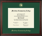 University of South Florida diploma frame - Gold Embossed Diploma Frame in Studio