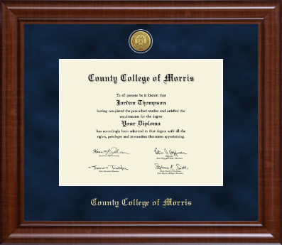County College of Morris diploma frame - Gold Engraved Medallion Diploma Frame in Prescott