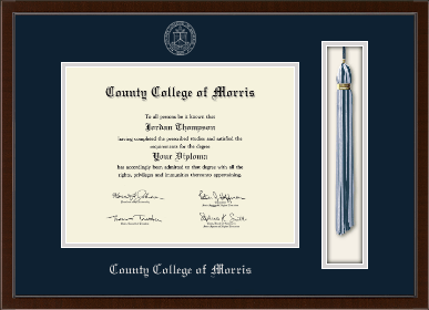 County College of Morris diploma frame - Tassel & Cord Diploma Frame in Delta