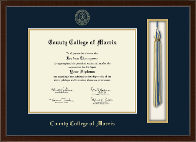 County College of Morris diploma frame - Tassel & Cord Diploma Frame in Delta