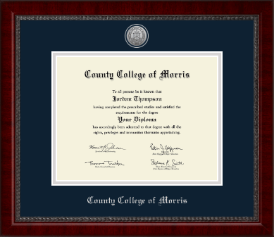 County College of Morris diploma frame - Silver Engraved Medallion Diploma Frame in Sutton