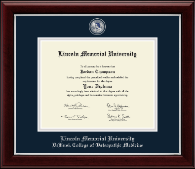 Lincoln Memorial University diploma frame - Masterpiece Medallion Diploma Frame in Gallery Silver