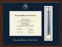 Lincoln Memorial University diploma frame - Tassel & Cord Diploma Frame in Delta