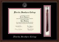 Florida Southern College diploma frame - Tassel & Cord Diploma Frame in Delta