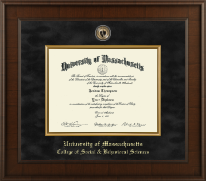 University of Massachusetts Amherst diploma frame - Presidential Masterpiece Diploma Frame in Madison
