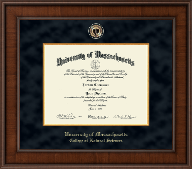 University of Massachusetts Amherst diploma frame - Presidential Masterpiece Diploma Frame in Madison