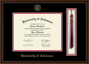Tassel Edition Diploma Frame