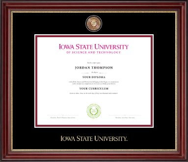 Iowa State University diploma frame - Masterpiece Medallion Diploma Frame in Kensington Gold