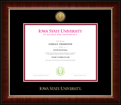 Iowa State University diploma frame - Gold Engraved Medallion Diploma Frame in Murano