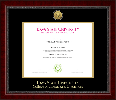 Iowa State University diploma frame - Gold Engraved Medallion Diploma Frame in Sutton