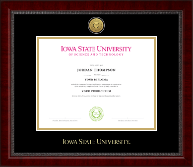 Iowa State University diploma frame - Gold Engraved Medallion Diploma Frame in Sutton