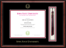 Iowa State University diploma frame - Tassel & Cord Diploma Frame in Southport