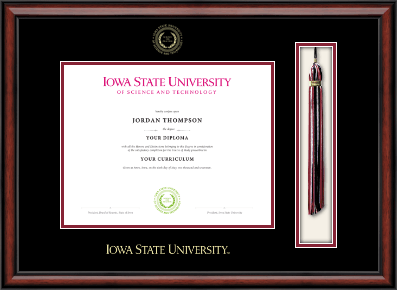 Iowa State University diploma frame - Tassel & Cord Diploma Frame in Southport
