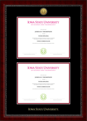 Iowa State University diploma frame - Gold Engraved Double Diploma Frame in Sutton