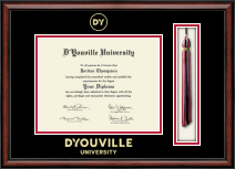 D'Youville University diploma frame - Tassel & Cord Diploma Frame in Southport