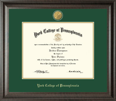 York College of Pennsylvania diploma frame - 23K Medallion Diploma Frame in Acadia