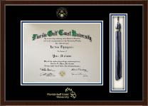 Florida Gulf Coast University diploma frame - Tassel & Cord Diploma Frame in Delta