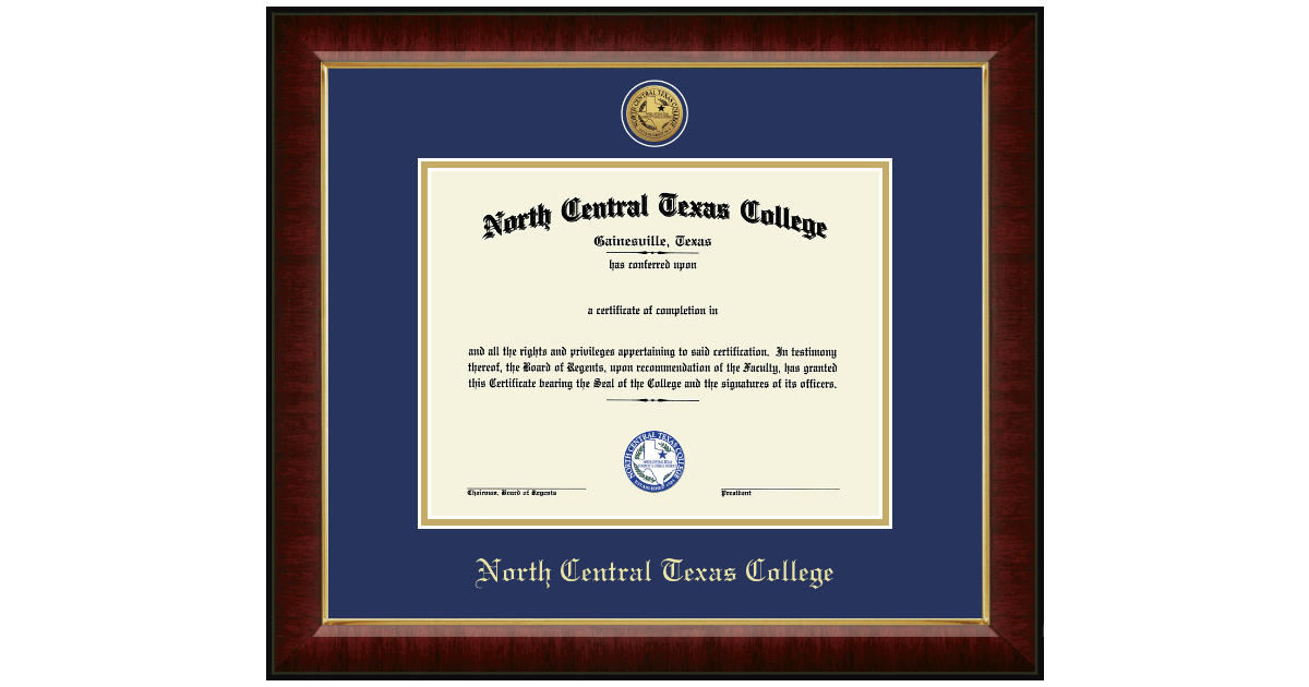 Gold Engraved Medallion Diploma Frame in Murano North Central Texas