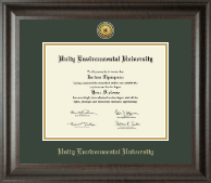 Unity Environmental University diploma frame - Gold Engraved Medallion Diploma Frame in Acadia