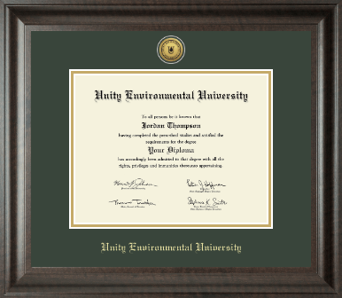Unity Environmental University diploma frame - Gold Engraved Medallion Diploma Frame in Acadia