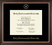 Unity Environmental University diploma frame - Gold Embossed Diploma Frame in Studio Gold