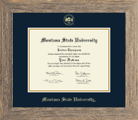 Montana State University Bozeman diploma frame - Gold Embossed Diploma Frame in Barnwood Gray