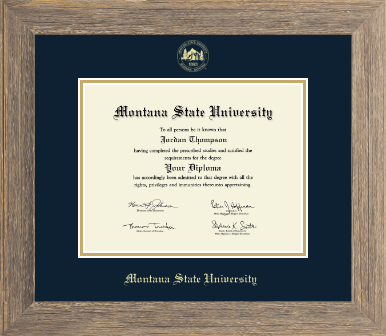 Montana State University Bozeman diploma frame - Gold Embossed Diploma Frame in Barnwood Gray