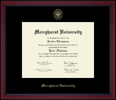 Mercyhurst University diploma frame - Gold Embossed Diploma Frame in Academy
