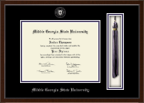 Middle Georgia State University diploma frame - Tassel & Cord Diploma Frame in Delta