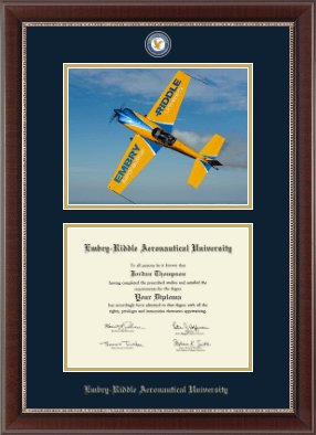 Embry-Riddle Aeronautical University diploma frame - Campus Scene Masterpiece Medallion Diploma Frame in Chateau