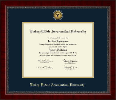 Embry-Riddle Aeronautical University diploma frame - Gold Engraved Medallion Diploma Frame in Sutton