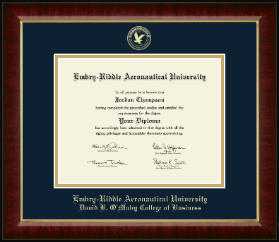 Embry-Riddle Aeronautical University diploma frame - Gold Embossed Diploma Frame in Murano