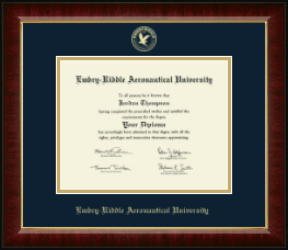 Gold Embossed Diploma Frame