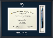 Northeast Wisconsin Technical College diploma frame - Tassel & Cord Diploma Frame in Obsidian