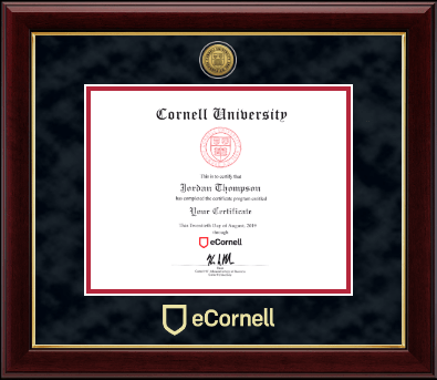 Cornell University certificate frame - Gold Engraved Medallion Certificate Frame in Gallery