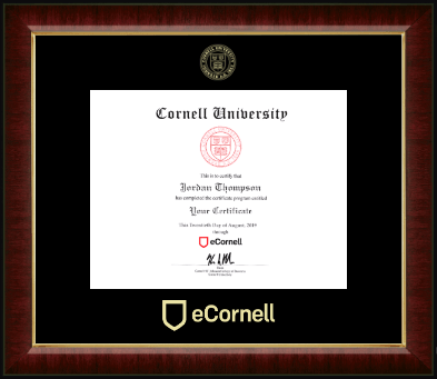 Cornell University certificate frame - Gold Embossed Certificate Frame in Murano
