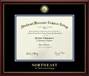 Northeast Wisconsin Technical College diploma frame - Nursing Pin Diploma Frame in Galleria